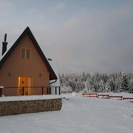Villa Mountain House Popovic Tara à Bajina Basta Extérieur photo
