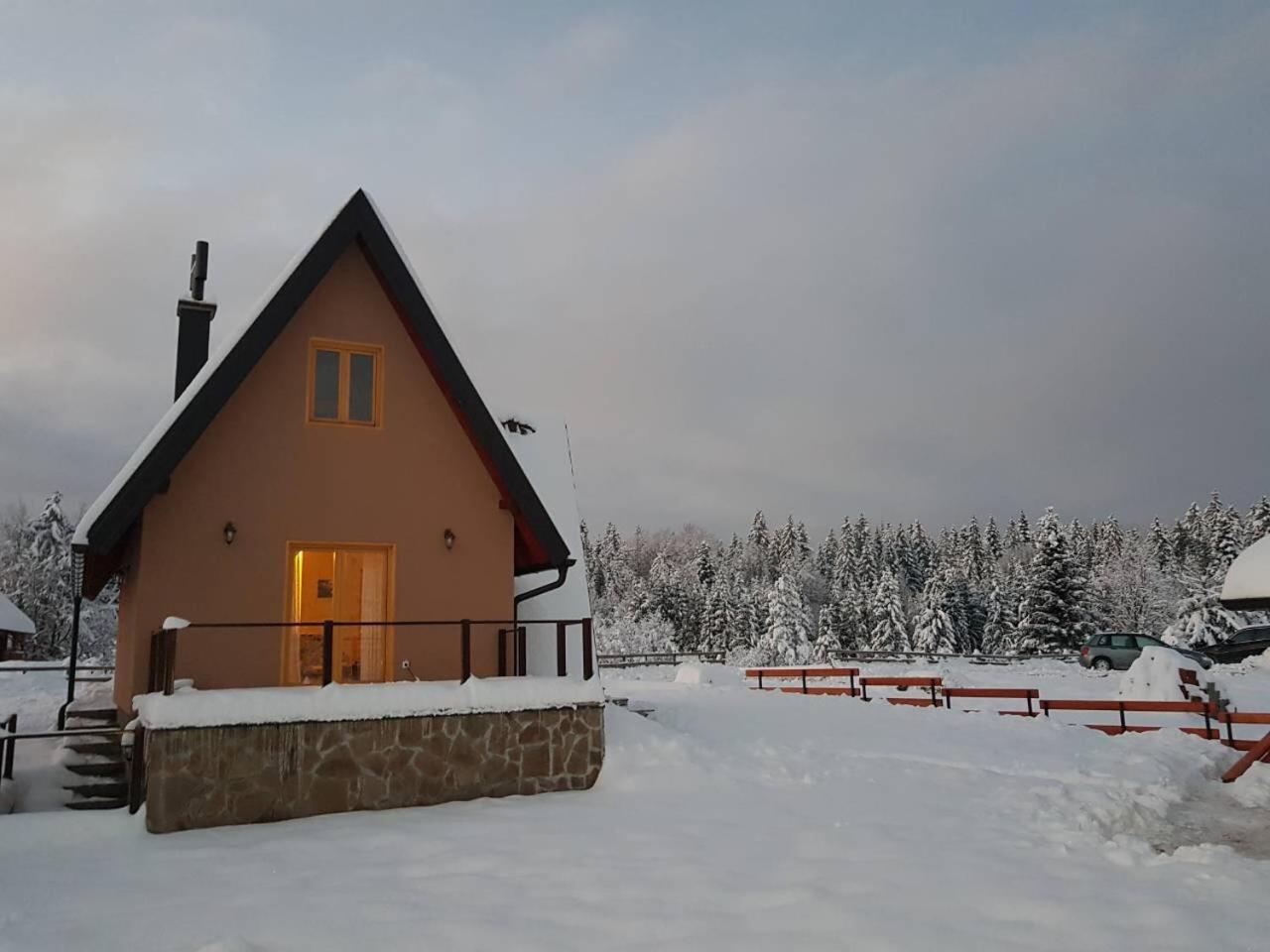 Villa Mountain House Popovic Tara à Bajina Basta Extérieur photo