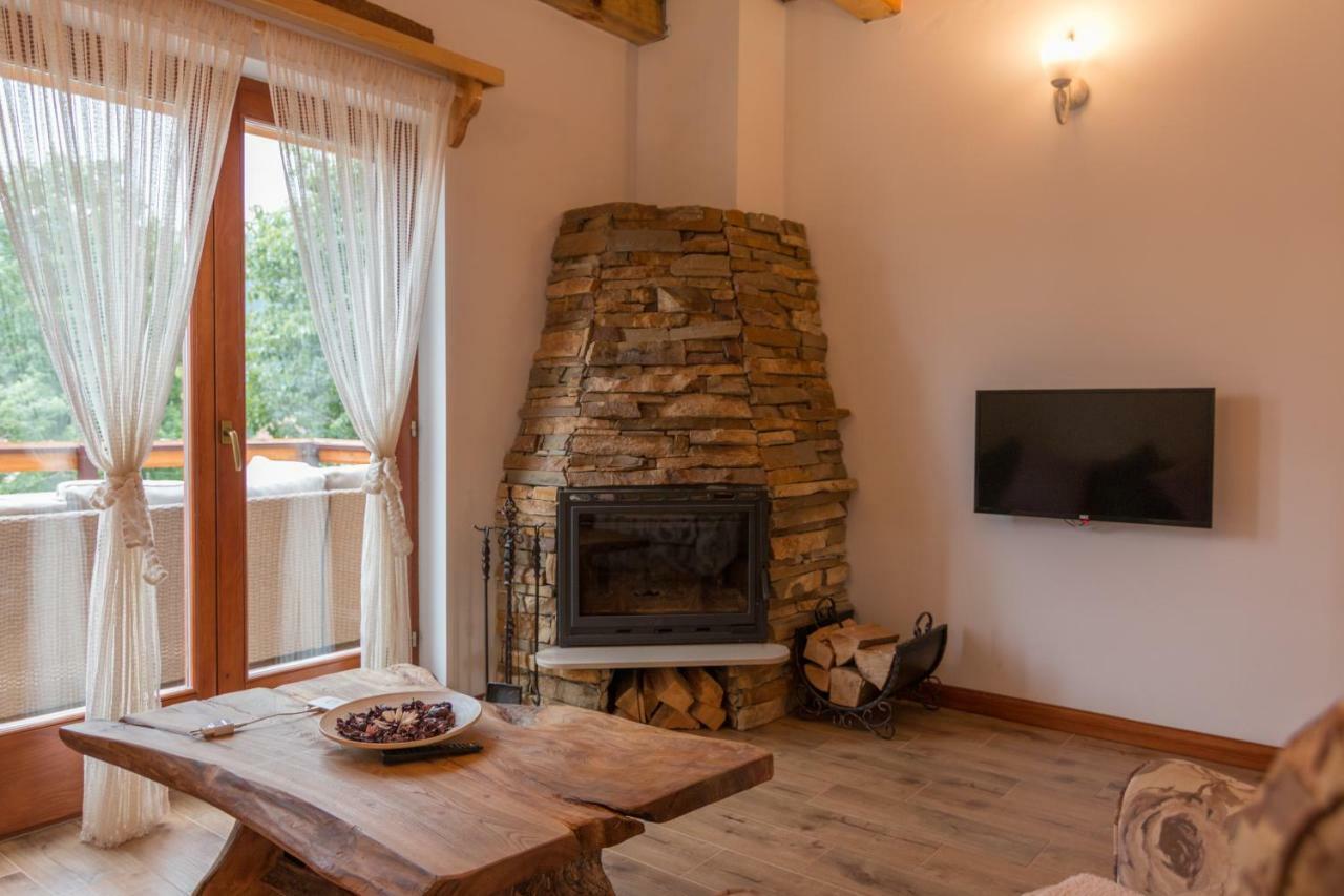 Villa Mountain House Popovic Tara à Bajina Basta Extérieur photo
