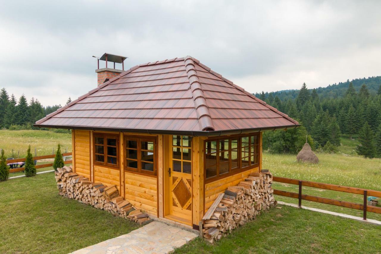 Villa Mountain House Popovic Tara à Bajina Basta Extérieur photo