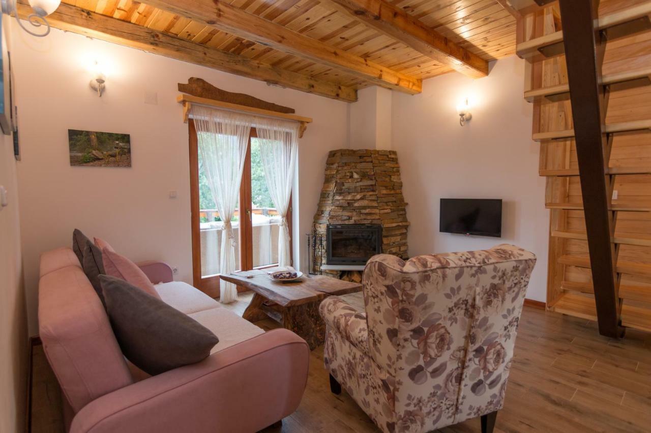 Villa Mountain House Popovic Tara à Bajina Basta Extérieur photo